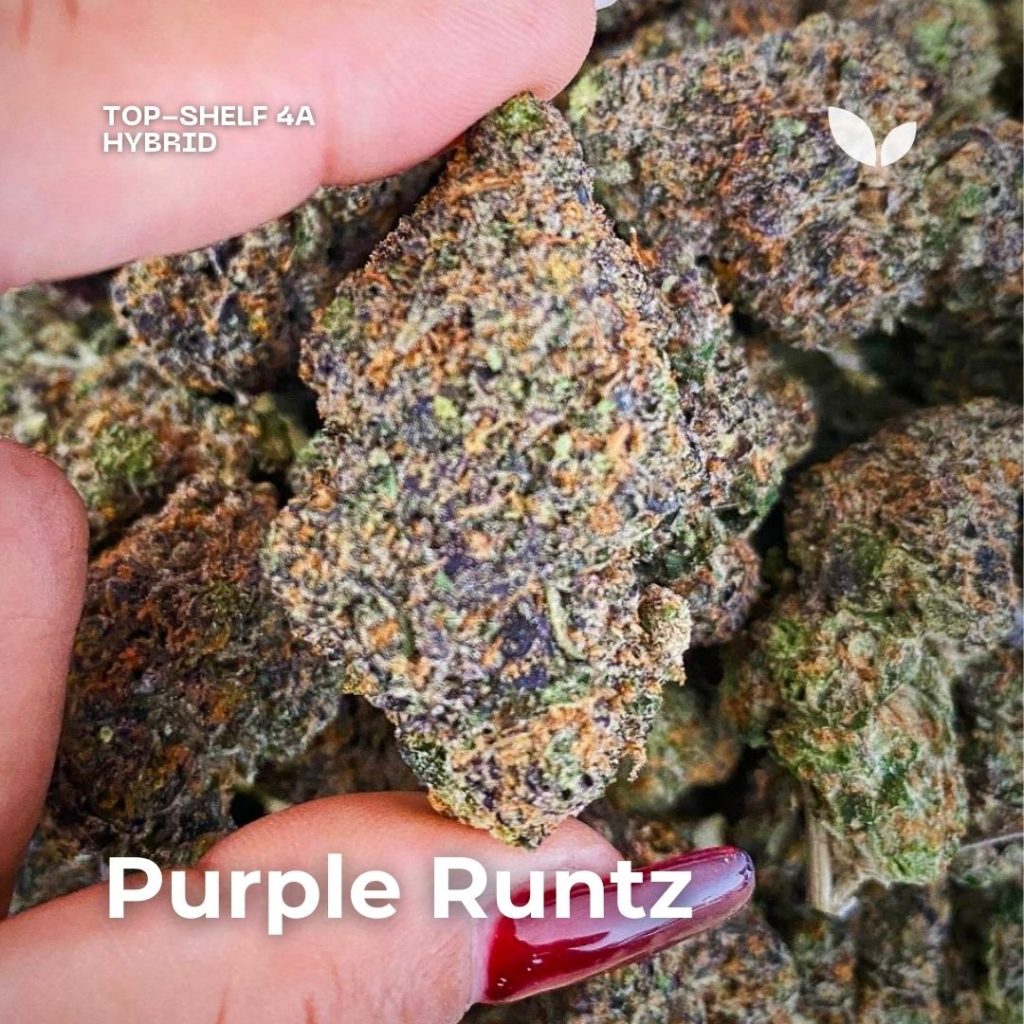 purple runtz cannabis delivery phuket purple runtz cannabis delivery phuket