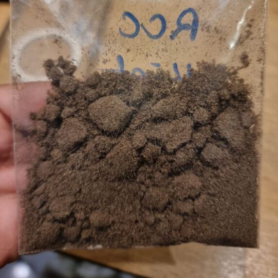 Rainbow cotton candy kief phuket delivery thailand