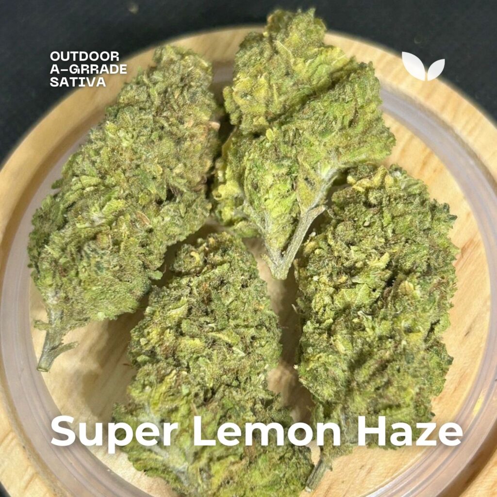 super lemon haze super lemon haze