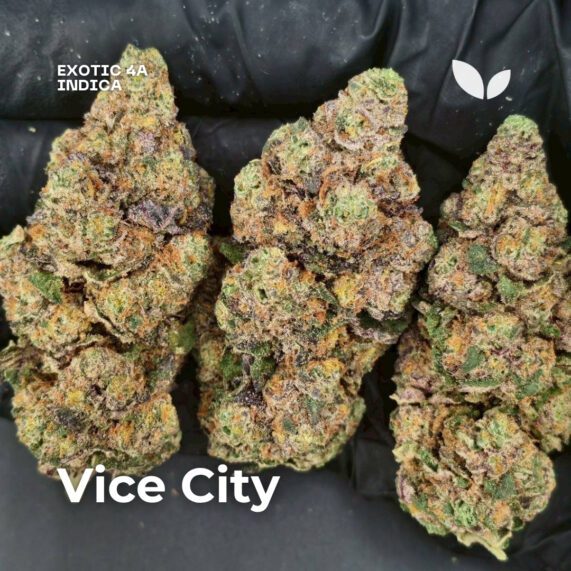 Vice City indica big size weed delivery phuket