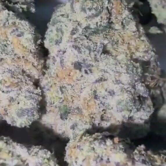 banana 1kg wholesale weed thailand bangkok