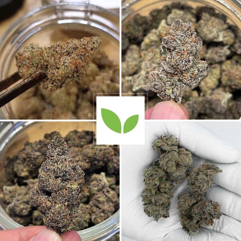 дегустационный набор калифорнийских трав на Пхукете, Таиланд cali weed tasting set phuket thailand