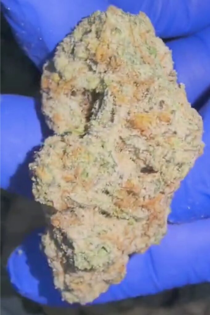 dosidos 1kg wholesale