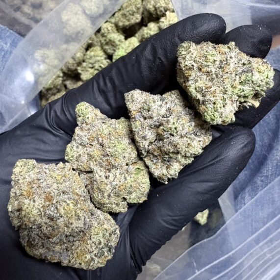 ice-cream cake 1kg wholesale thailand