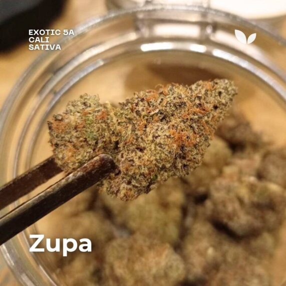 zupa cannabis delivery strain phuket thailand