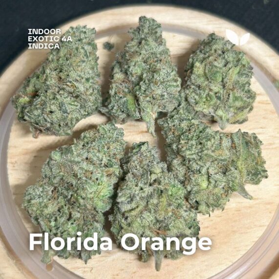 Florida Orange cannabis strain phuket
