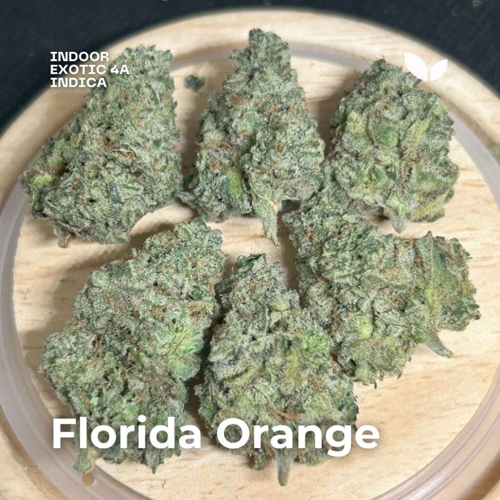 Florida Orange cannabis strain