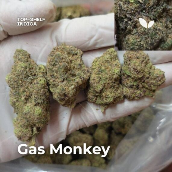 Gas Monkey cannabis indoor indica top-shelf phuket Gas Monkey weed delivery phuket