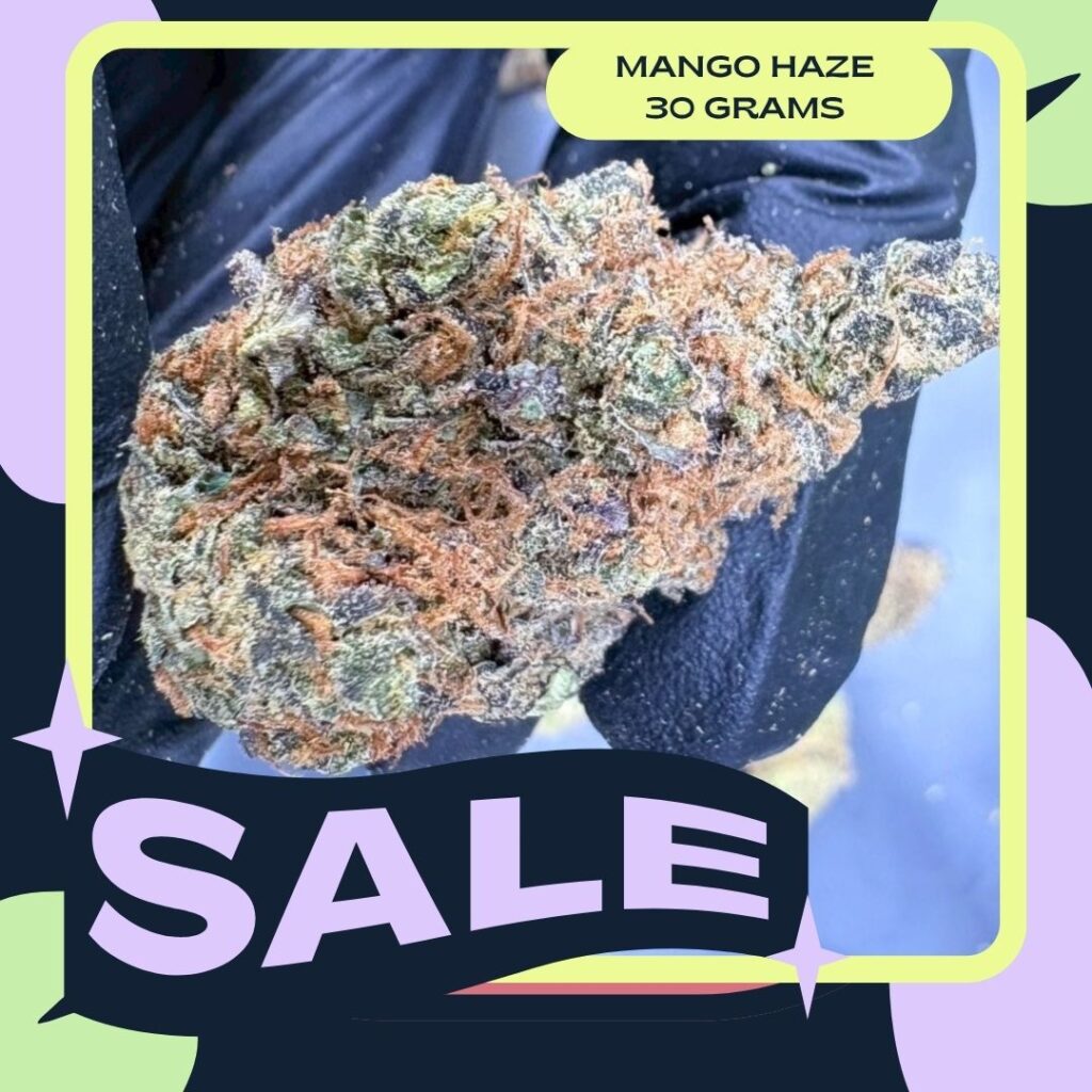 Mango Haze 30g Sale weed phuket Mango Haze 30g Sale weed phuket