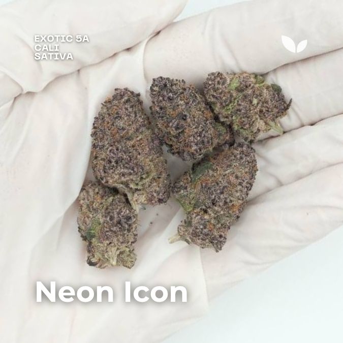 Neon Icon weed strain