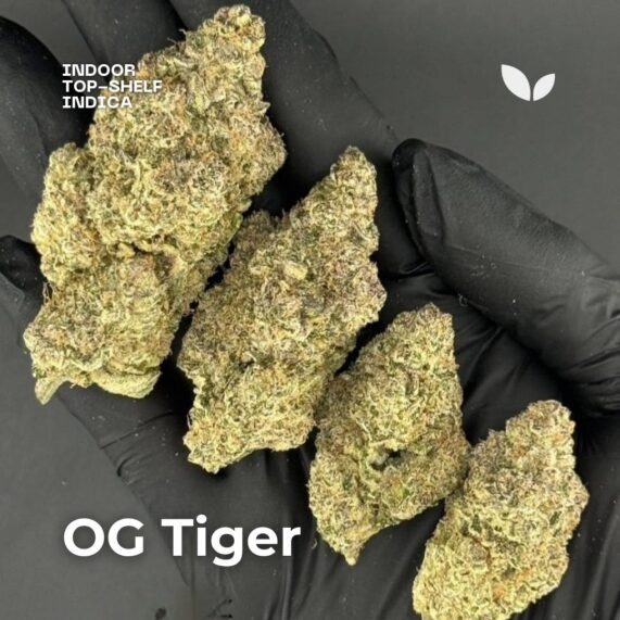 OG Tiger weed strain OG Tiger cannabis delivery phuket