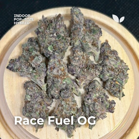 Race Fuel OG phuket weed delivery