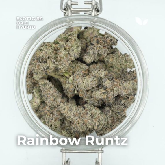Rainbow Runtz cali weed phuket