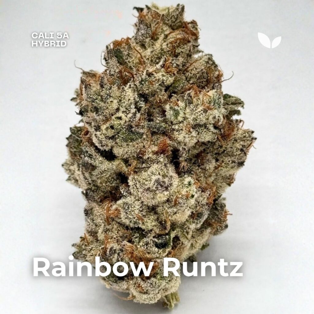 Rainbow Runtz strain cannabis Rainbow Runtz strain cannabis
