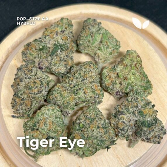 Tiger Eye hybrid cannabis strain phuket delivery