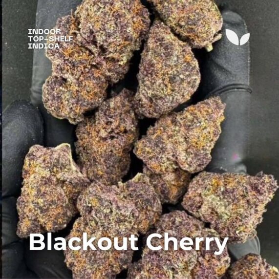 blackout cherry cannabis phuket delivery