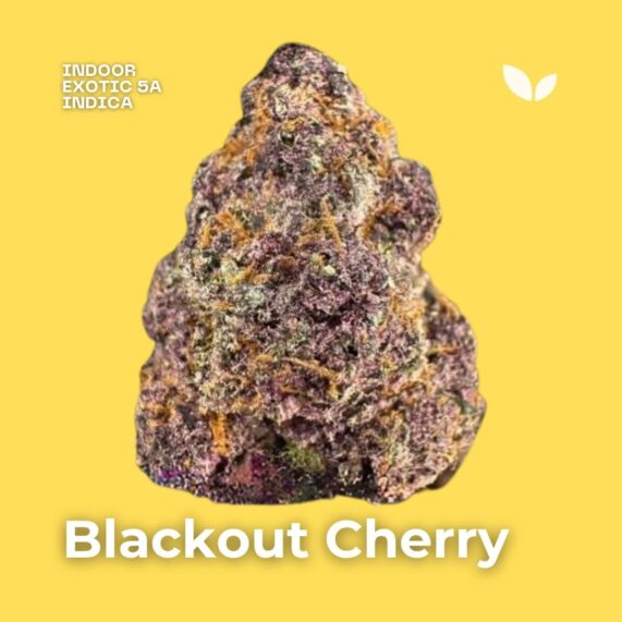 blackout cherry indoor cannabis phuket indica top-shelf blackout cherry weed phuket