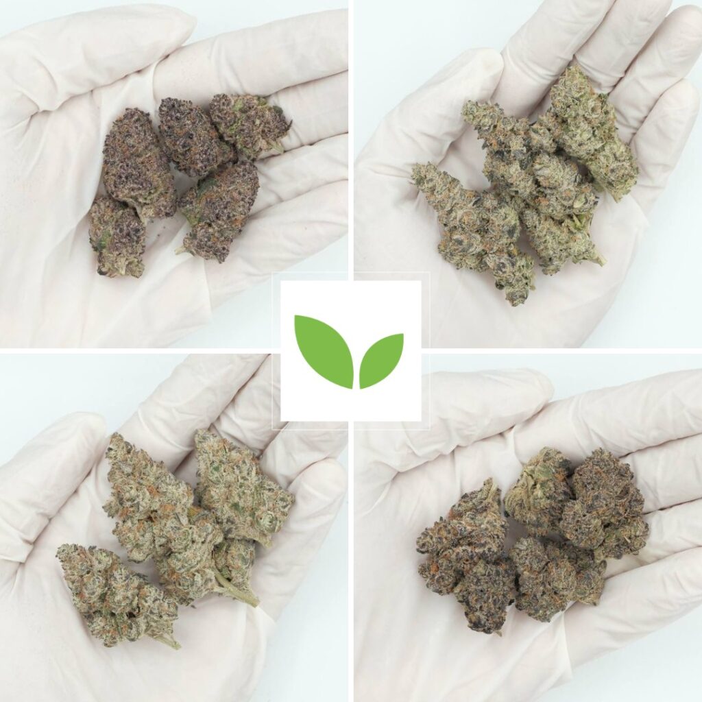 cali weed tasting set 2 cali weed tasting set 2