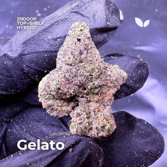 gelato cannabis strain weed delviery phuket thailand 2
