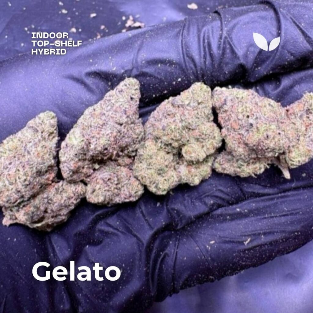 gelato strain phuket cannabis delivery gelato strain phuket cannabis delivery