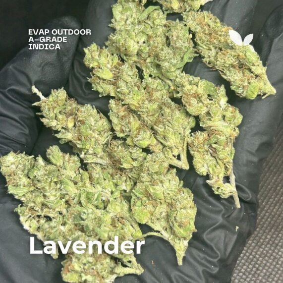 lavender weed delivery phuket