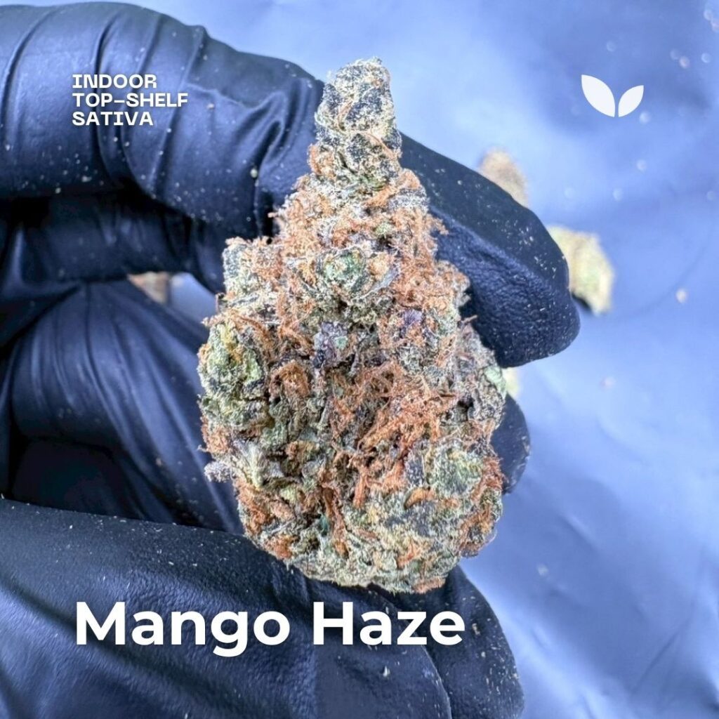 mango haze mango haze