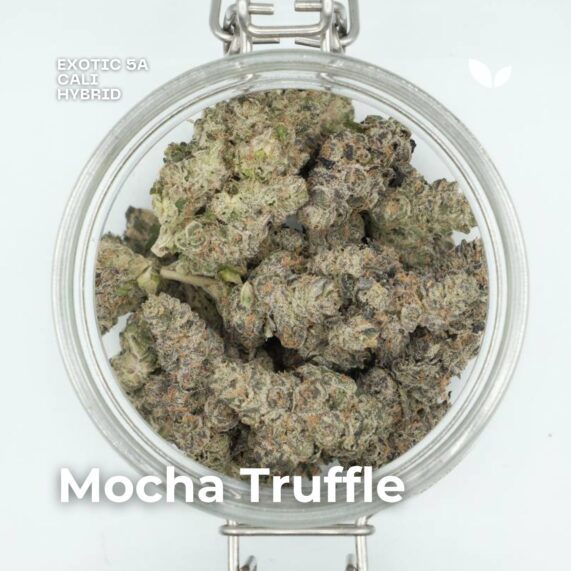 mocha truffle cali weed cannabis phuket