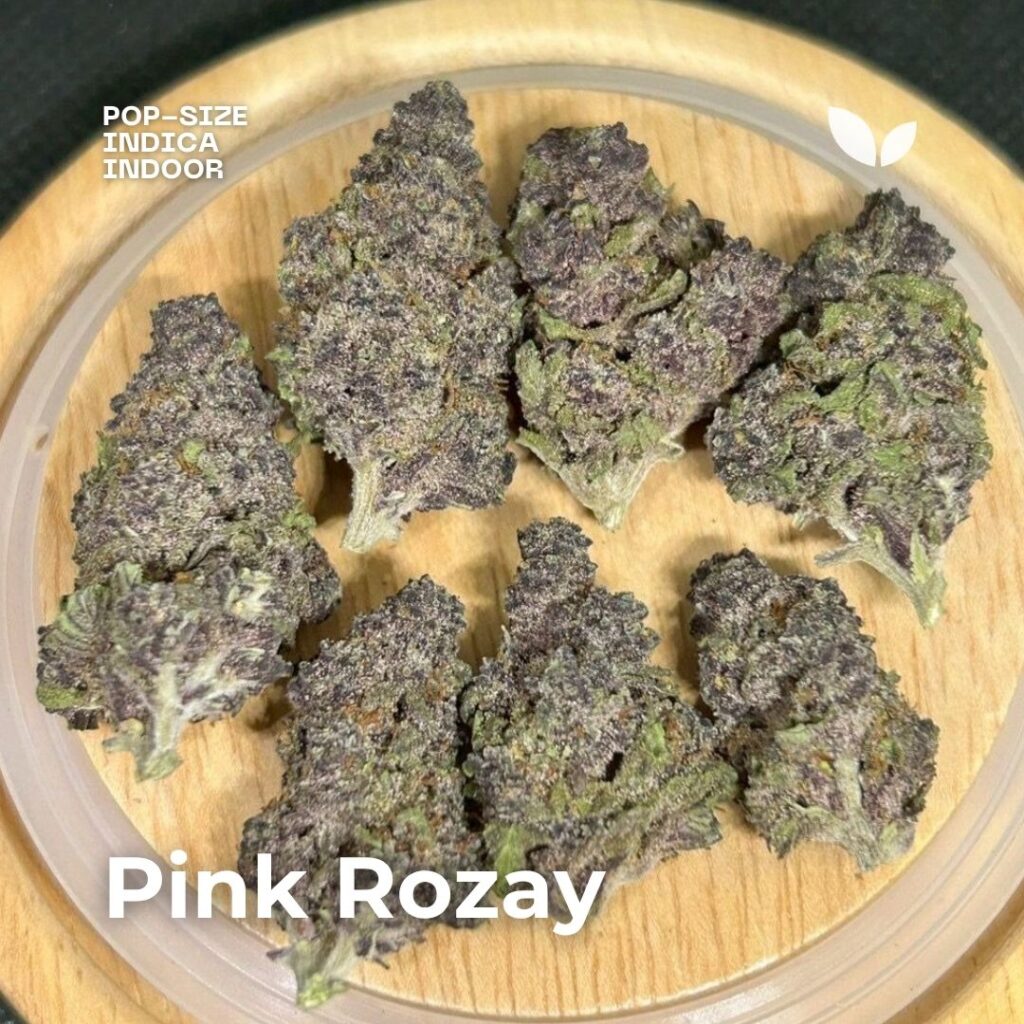 pink rozay indica pop-size phuket weed pink rozay indica pop-size phuket weed