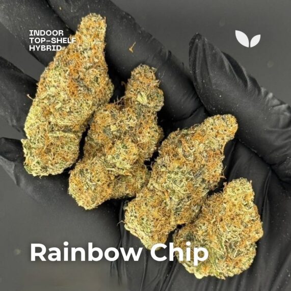 rainbow chip cannabis strain phuket thailand rainbow chip hybrid weed delivery phuket
