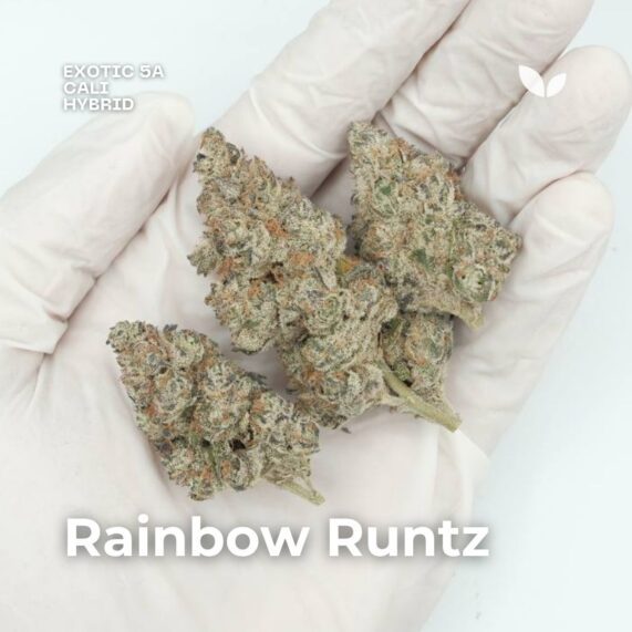 rainbow runtz cannabis strain delivery phuket
