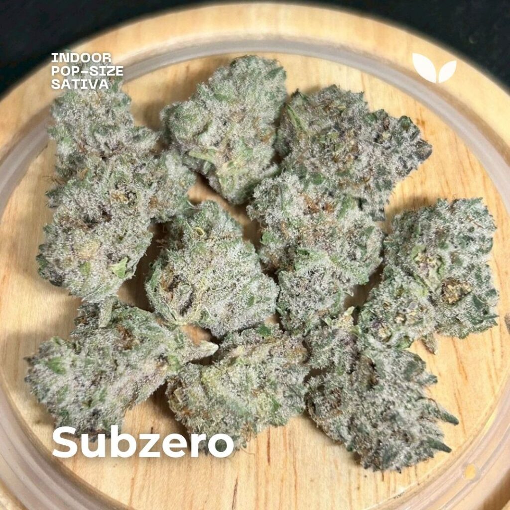 subzero pop-size cannabis strain phuket subzero pop-size cannabis strain phuket