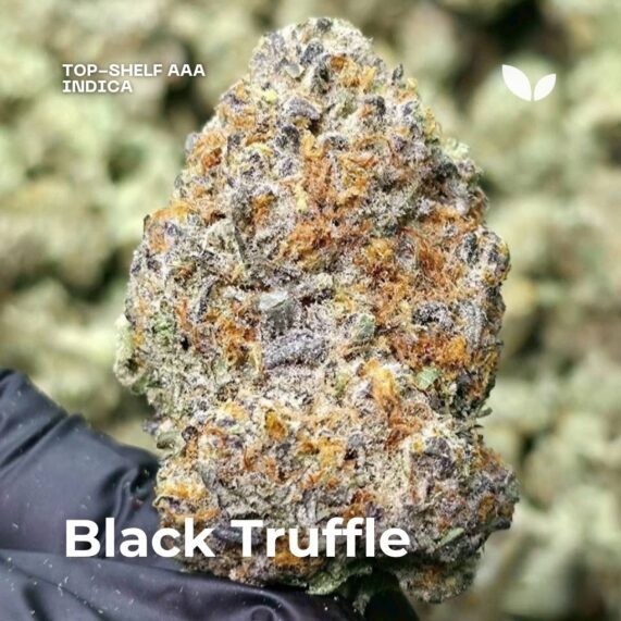 Black truffle cannabis phuket 1-hour delivery