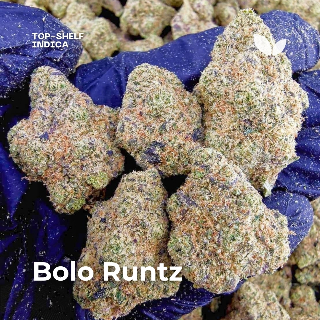 Bolo Runtz weed strain phuket Bolo Runtz weed strain phuket