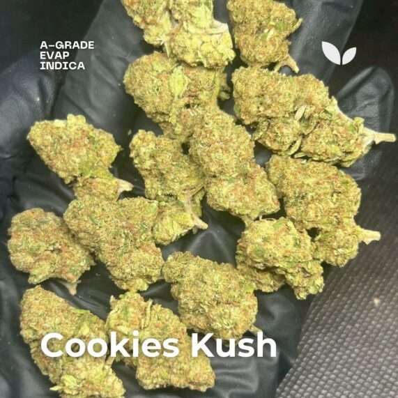 Cookies Kush weed strain phuket delivery fast