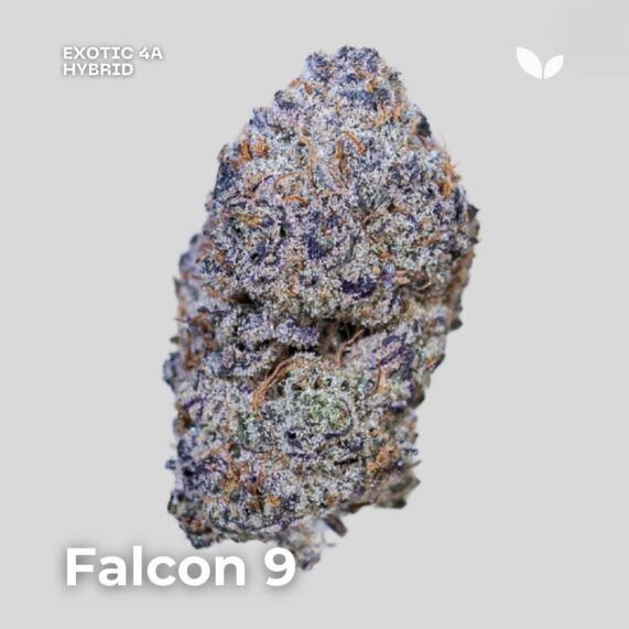 Falcon 9 weed strain phuket delivery