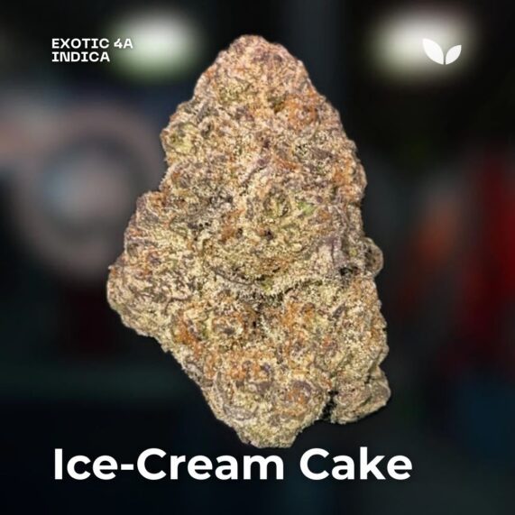 Ice-Cream Cake weed strain phuket 2