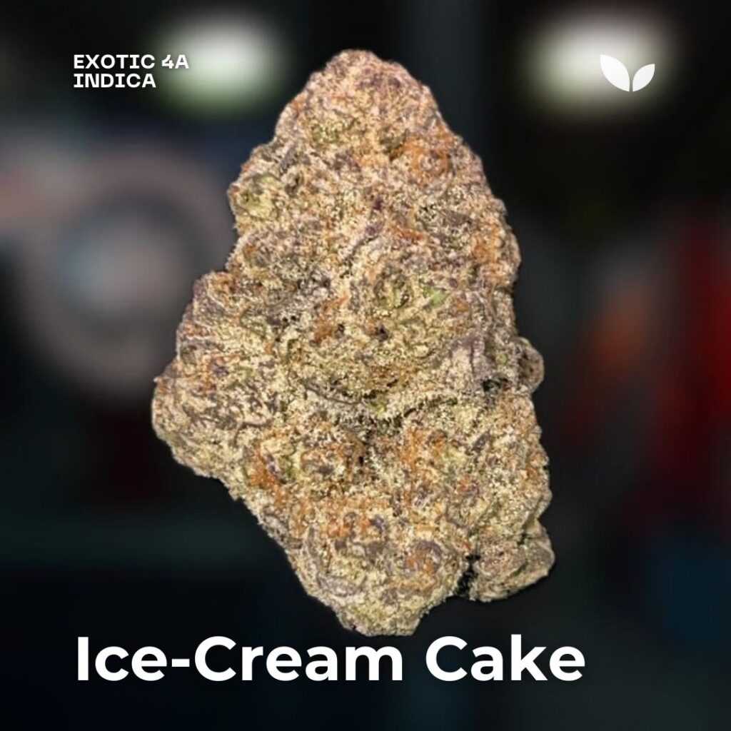 Ice-Cream Cake weed strain phuket 2