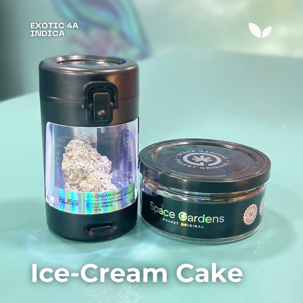 Ice-Cream Cake weed strain phuket 3