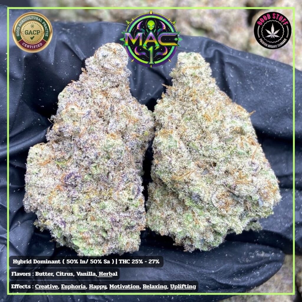 MAC1 weed strain MAC1 weed strain