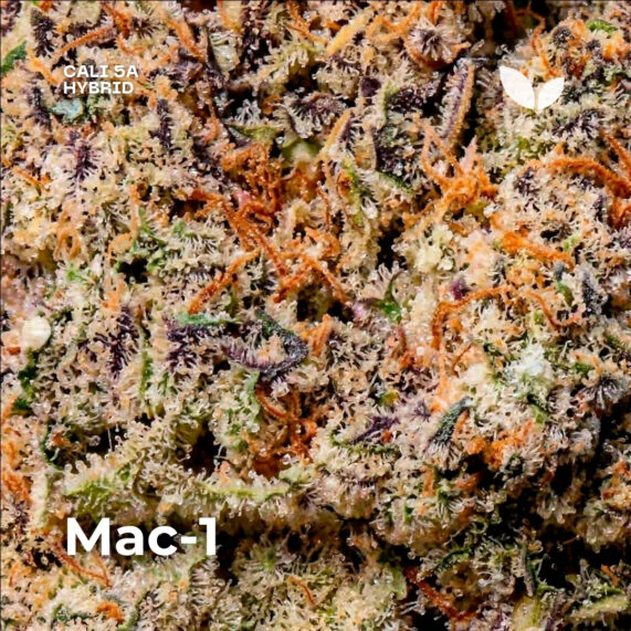 Mac-1 weed strain phuket delivery cali 5a hybrid