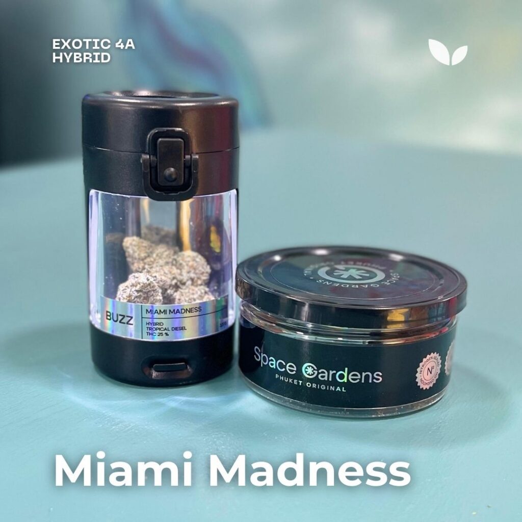 Доставка марихуаны Miami Madness на Пхукет, гибридный сорт 2 Miami Madness weed delivery phuket hybrid strain 2