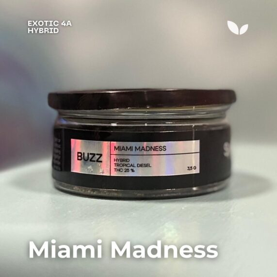 Доставка марихуаны Miami Madness на Пхукет, гибридный сорт 3 Miami Madness weed delivery phuket hybrid strain 3