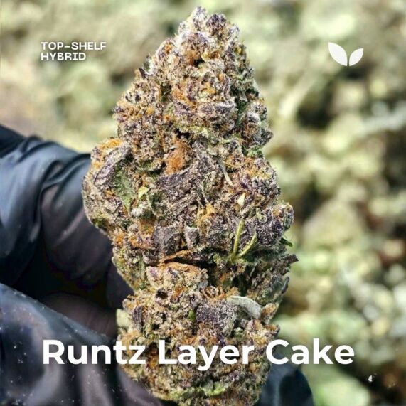 Runtz Layer Cake weed strain Runtz Layer Cake weed delivery phuket