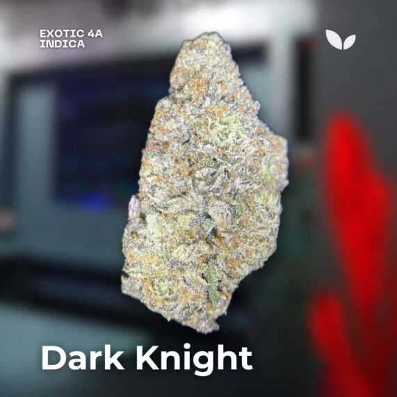 phuket delivery dark knight weed strain