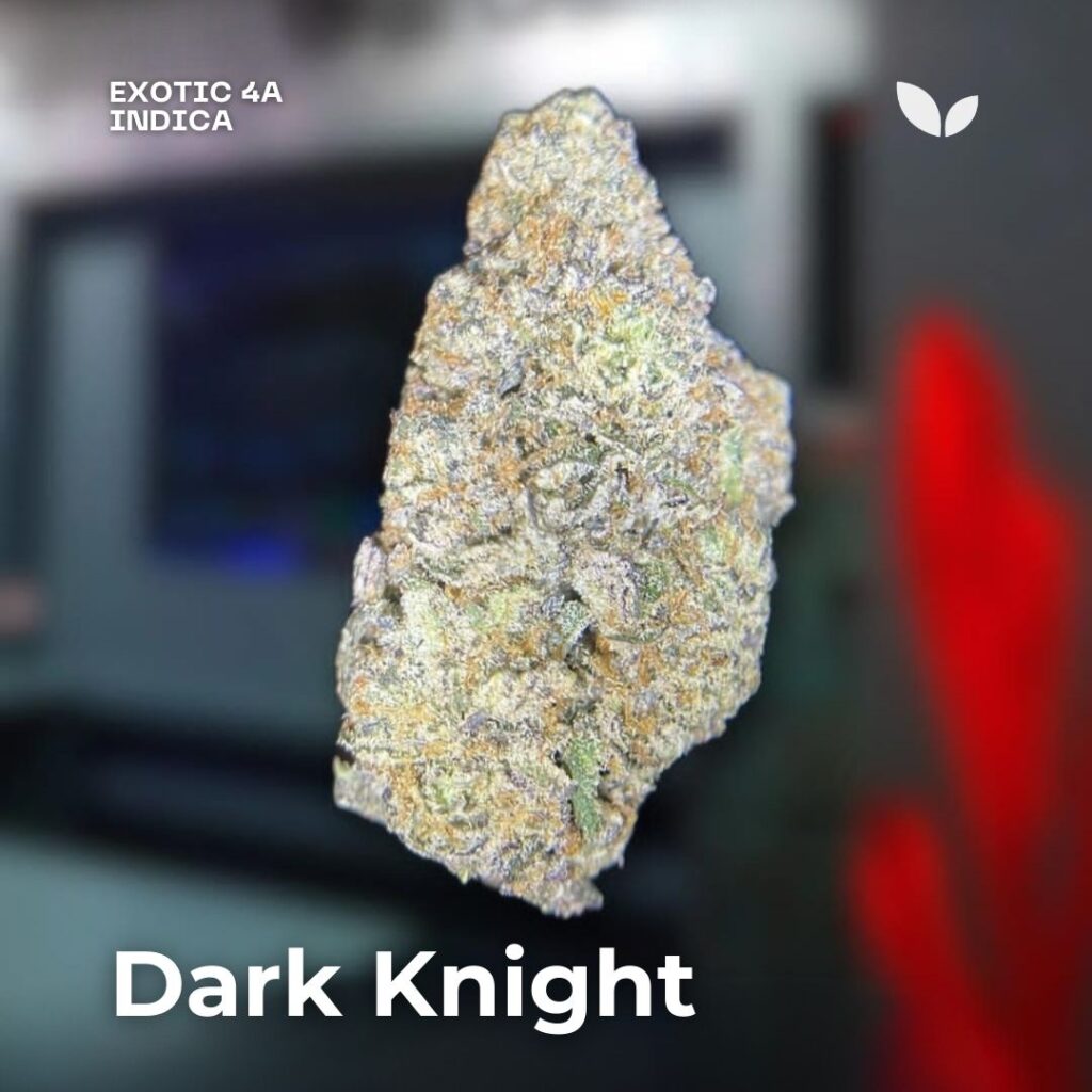 dark knight weed strain phuket dark knight weed strain phuket