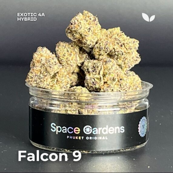 falcon 9 3.5g cannabis phuket delivery 1 hour fast
