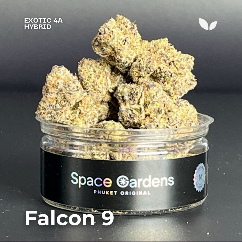 falcon 9 3.5g cannabis phuket falcon 9 3.5g cannabis phuket
