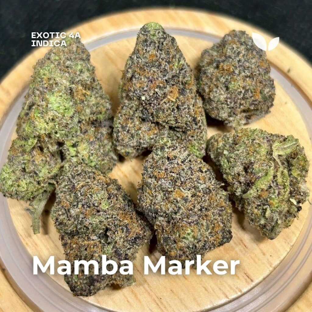 mamba marker cannabis strain mamba marker cannabis strain