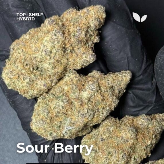 sour berry weed phuket hybrid strain