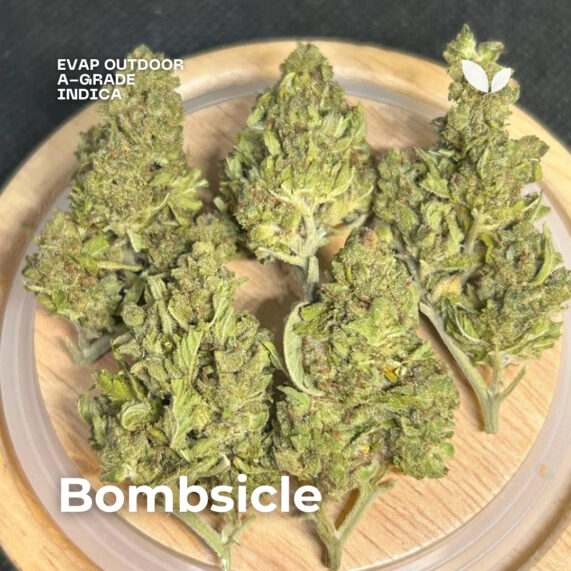 Bombsicle evap outdoor weed strain indica